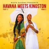 Havana Meets Kingston - Solutions (We Can Do It)