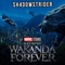 Black Panther: Wakanda Forever Official Trailer Music - Never Forget (Black Panther: Wakanda Forever Soundtrack) artwork