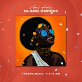 There's Music in the Air (feat. Black Coffee) artwork