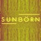 Mankind? (feat. Ida Nielsen & BIGYUKI) - Sunbörn lyrics