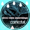 Snow Noise Assemblage