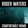 Comfortably Numb 2022 - Single