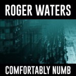 Roger Waters - Comfortably Numb 2022