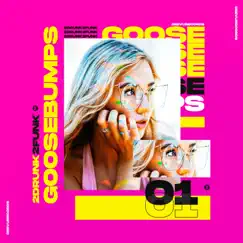 Goosebumps - Single by 2drunk2funk album reviews, ratings, credits