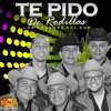 Te Pido De Rodillas - Single