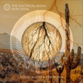The Electrical Biome (Liquid Bloom & PERE Remix) artwork