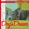 Soaring in Ideas album lyrics, reviews, download