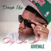 Dig In It (feat. Juvenile) - Single album lyrics, reviews, download