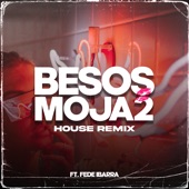 Besos Moja2 (House Remix) [feat. Fede Ibarra] [Remix] artwork