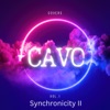 Synchronicity II - Single