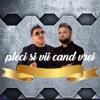 Pleci si Vii cand vrei - Single