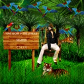 One Night In the Jungle (Italo-Disco Remix) artwork