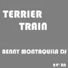 Stream & download Terrier Train (Radio Edit)