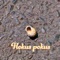 Hokus Pokus artwork