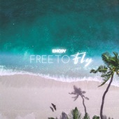 Free to Fly artwork