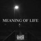 MEANING of LIFE (feat. SENZORITY) - LWVIATHAN lyrics