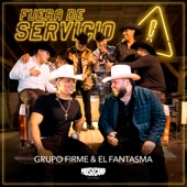 Fuera de Servicio artwork