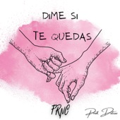 Dime Si Te Quedas artwork