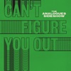 Can't Figure You Out - Single