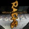RACKS (feat. Drewlitty) - RapDeVyL lyrics
