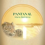 Pantanal artwork