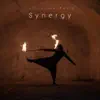 Synergy song lyrics