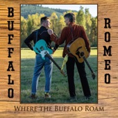 Buffalo Romeo - Let's Not & Say We Did