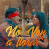 No Voy a Llorar - Single