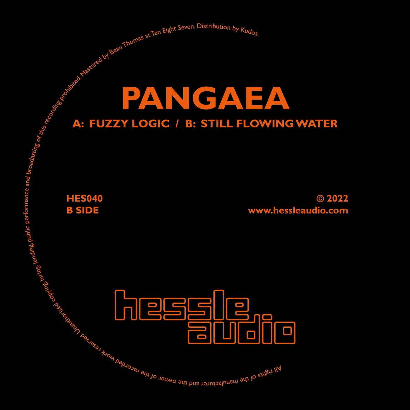 Fuzzy Logic / Still Flowing Water by Pangaea