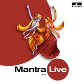 Gaura Hari (feat. Gourangi) [Live] artwork