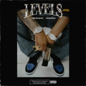 Levels (feat. Sunny Malton) artwork