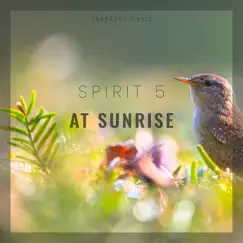 At Sunrise - Single by Spirit 5 album reviews, ratings, credits