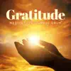 Gratitude (Meditation Tongue Drum) album lyrics, reviews, download
