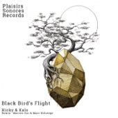 Black Bird's Flight artwork