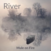 Mule on Fire - There's No Time Like Now