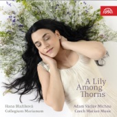 Michna: Czech Marian Music - A Lilly Among Thorns artwork