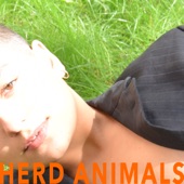 Herd Animals artwork
