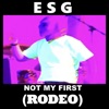 Not My First (Rodeo) - Single