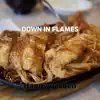 Down In Flames song lyrics