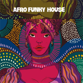 Afro Funky House - Various Artists