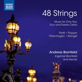 12 Caprices, Op. 25: No. 4, Allegretto artwork