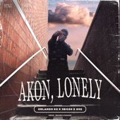 Akon, Lonely artwork