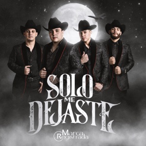 Solo Me Dejaste - Single