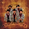 Enhorabuena - Single