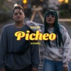 Picheo - Single