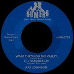 Walk Through the Valley b/w Stagger Lee - Single