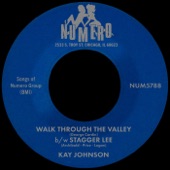 Kay Johnson - Walk Through The Valley