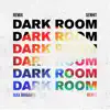 Dark Room (Max Brigante Remix) - Single album lyrics, reviews, download