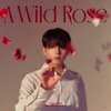 A Wild Rose - The 3rd Mini Album, 2022