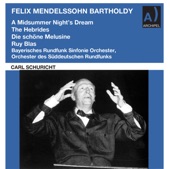 Mendelssohn: Orchestral Works artwork